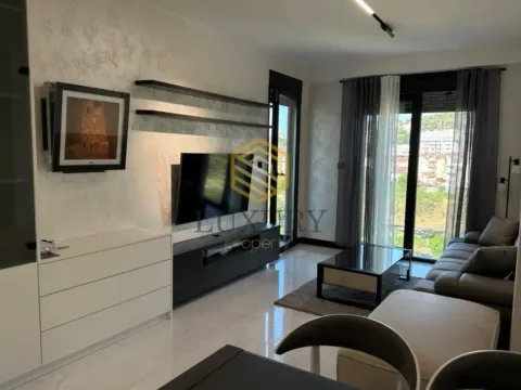 Izdavanje, jednosoban stan, 47m², Centar, Podgorica - image 6