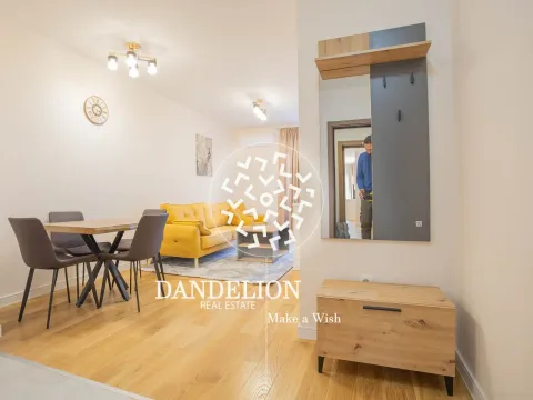 Izdavanje, jednosoban stan, 40m², Central Point, Podgorica - image 21