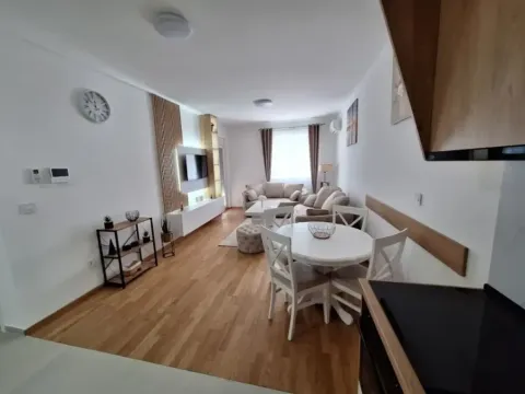 Izdavanje, jednosoban stan, 48m², Stari Aerodrom, Podgorica - image 7