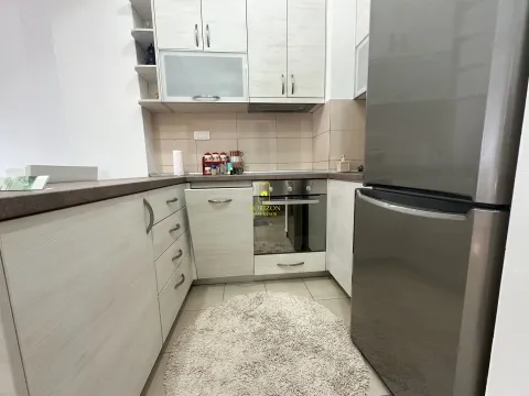 Izdavanje, jednosoban stan, 41m², Ljubović, Podgorica - image 3