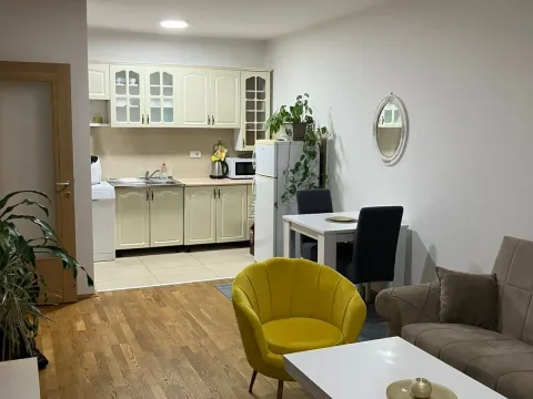 Izdavanje, jednosoban stan, 50m², Tuški Put, Podgorica - image 1