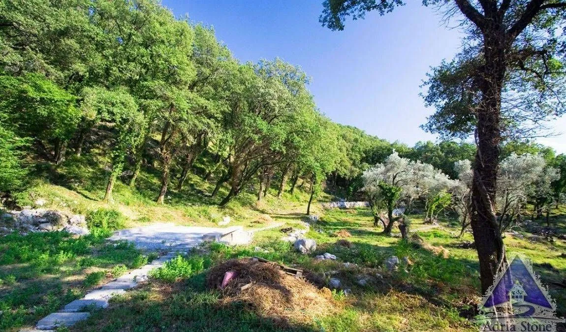 Prodaja, plac, 14551m², Tudorovići, Budva