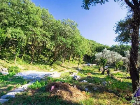 Prodaja, plac, 14551m², Tudorovići, Budva - image 6