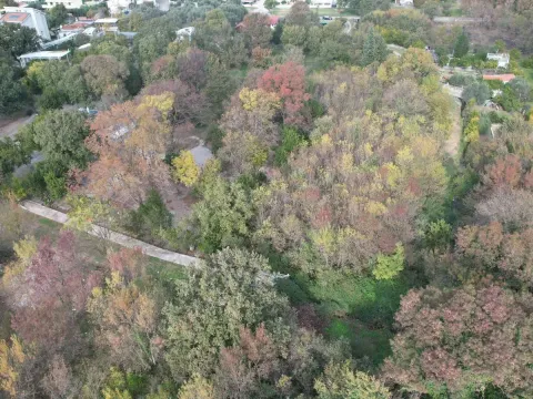 Sale, land lot, 2673m², Buljarica, Budva - image 8