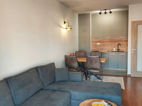 Rent, one bedroom apartment, 49m², Master Kvart, Podgorica - image 4