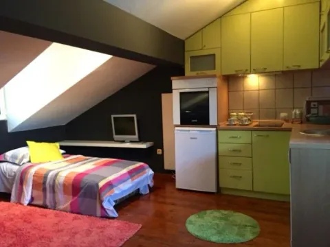 Izdavanje, garsonjera, 30m², Centar, Cetinje - image 3