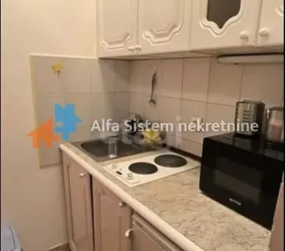 Izdavanje, jednosoban stan, 45m², Stari Grad, Beograd - image 6