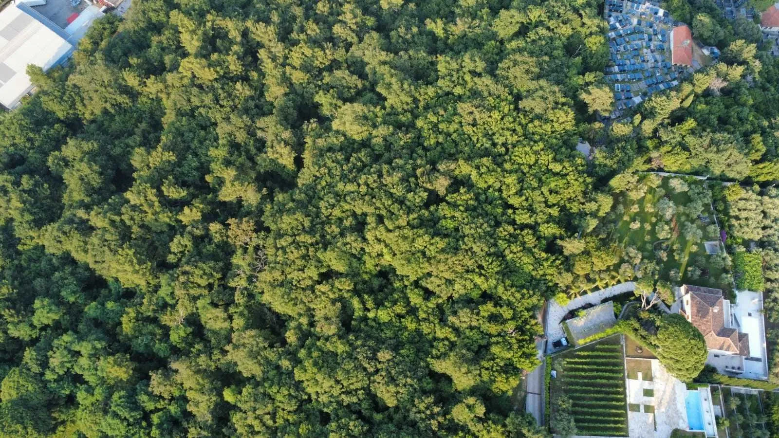 Prodaja, plac, 3728m², Herceg Novi, Crna Gora