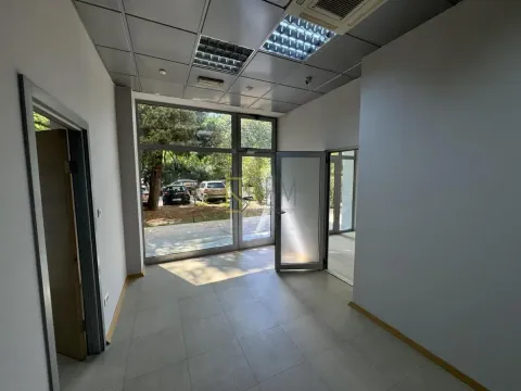 Izdavanje, poslovni prostor, 120m², Preko Morače, Podgorica - image 14