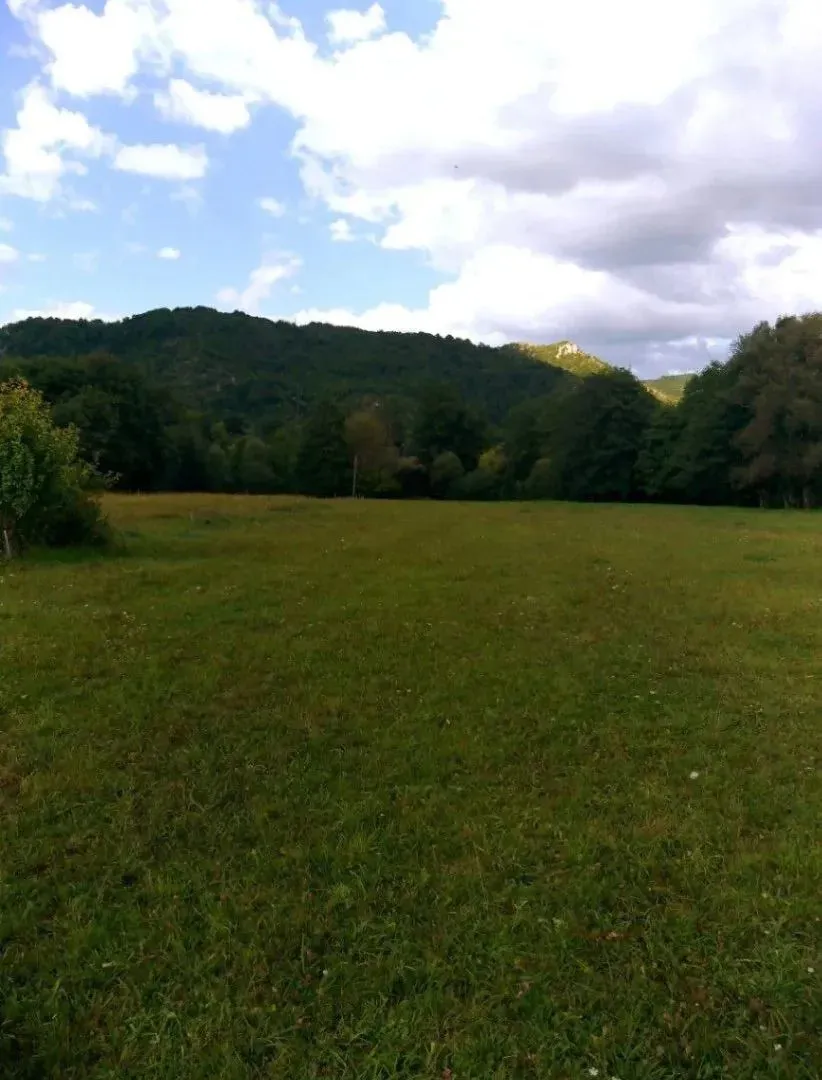Prodaja, plac, 9000m², Kolašin, Crna Gora