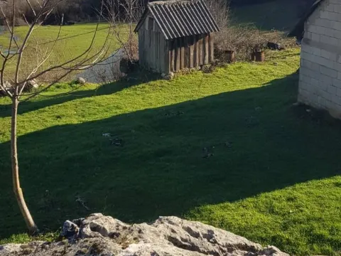 Sale, land lot, 19000m², Nikšić, Crna Gora - image 7