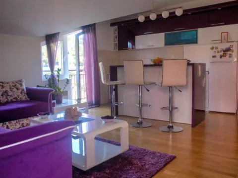 Izdavanje, jednosoban stan, 46m², Dalmatinska ulica, Podgorica - image 6