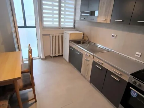 Izdavanje, dvosoban stan, 50m², Vračar Hram, Vračar Sve Podlokacije - image 4