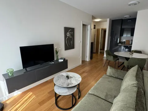 Izdavanje, jednosoban stan, 45m², Central Point, Podgorica - image 3