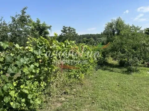 Prodaja, kuća, 247m², Grocka, Beograd - image 14