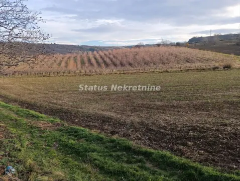 Pogled na poljoprivredno zemljište i voćnjak u prirodi. - image 26