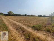 Prodaja, plac, 64m², Skela, Obrenovac - image 4