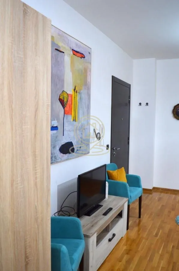 Rent, one bedroom apartment, 33m², Vračar Hram, Vračar Sve Podlokacije