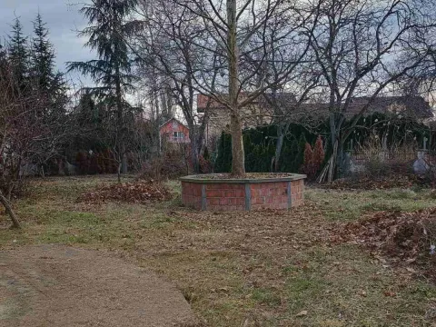 Sale, house, 850m², Krnjaca, Palilula Sve Podlokacije - image 4