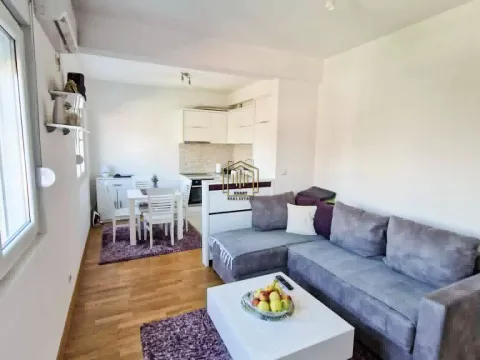 Rent, one bedroom apartment, 45m², Stari Aerodrom, Podgorica - image 1