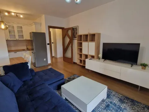 Rent, one bedroom apartment, 48m², Ljubović, Podgorica - image 3