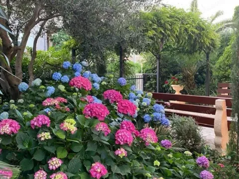 Sale, office space, 388m², Radovići, Tivat - image 40