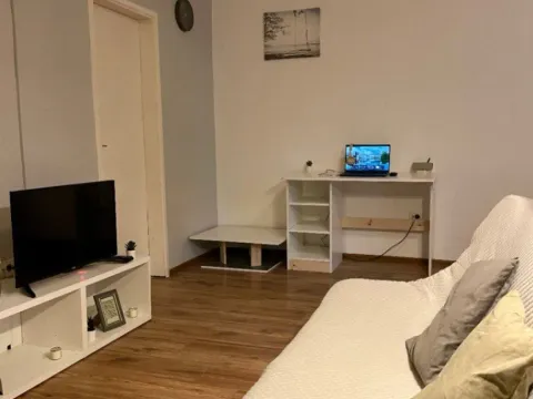 Izdavanje, dvosoban stan, 50m², Centar, Podgorica - image 9