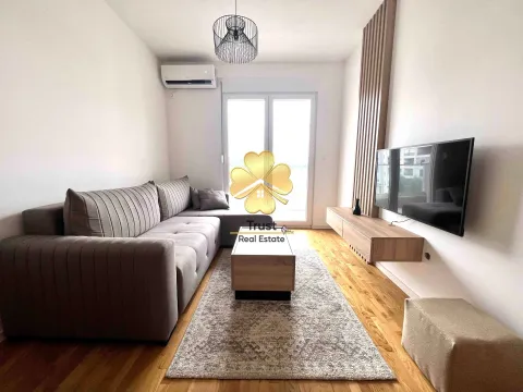 Izdavanje, jednosoban stan, 45m², Stari Aerodrom, Podgorica - image 3