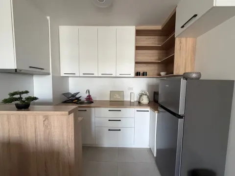 Rent, two bedroom apartment, 46m², Višnjička Banja, Palilula Sve Podlokacije - image 4
