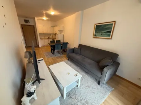 Rent, one bedroom apartment, 45m², Bijeli Do, Budva - image 3