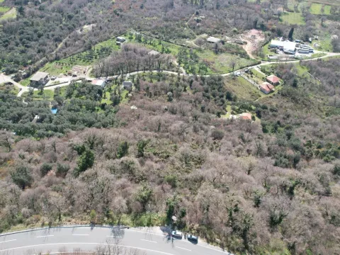 Sale, land lot, 15810m², Buljarica, Budva - image 11