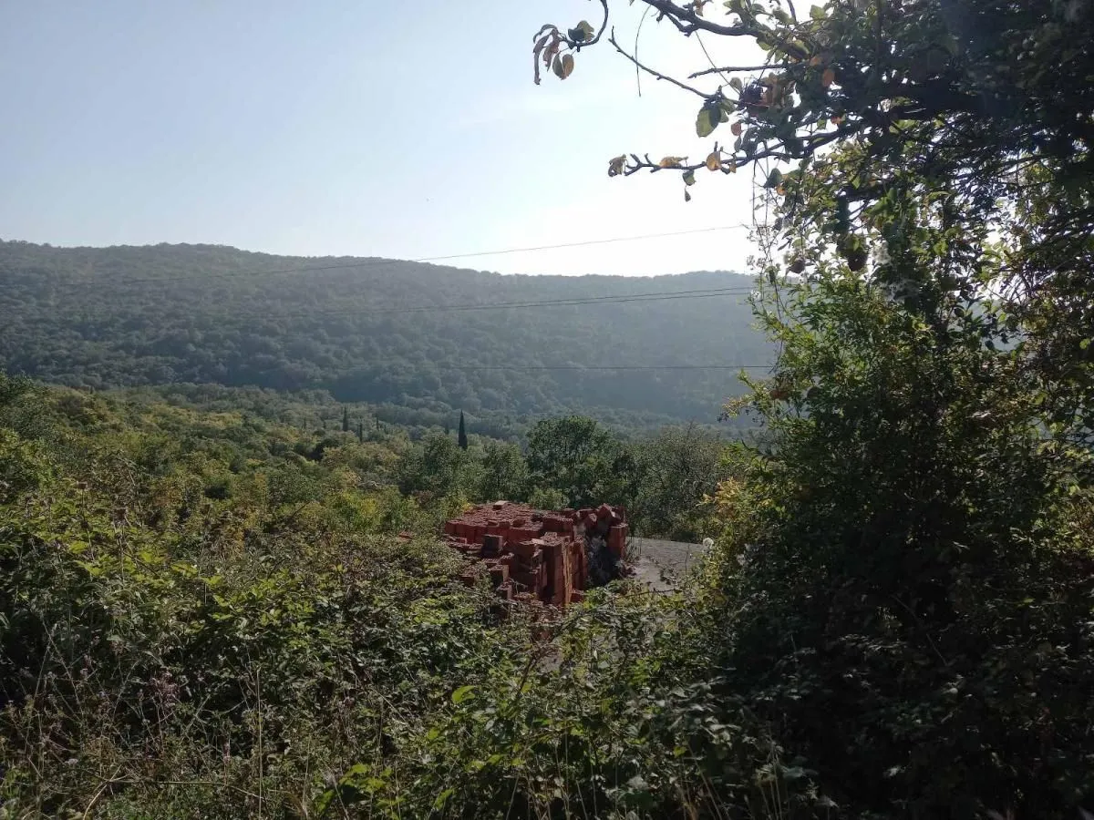 Pogled na šumoviti pejzaž i brda sa imanja.