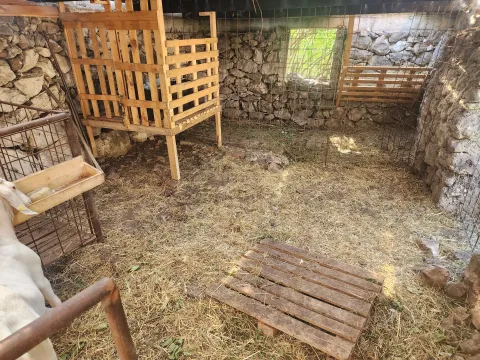 Prodaja, plac, 16000m², Martinići, Danilovgrad - image 4