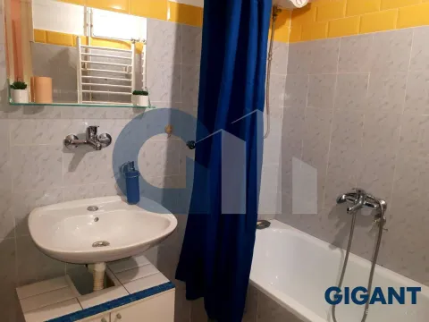 Izdavanje, jednosoban stan, 33m², Vračar Hram, Vračar Sve Podlokacije - image 15