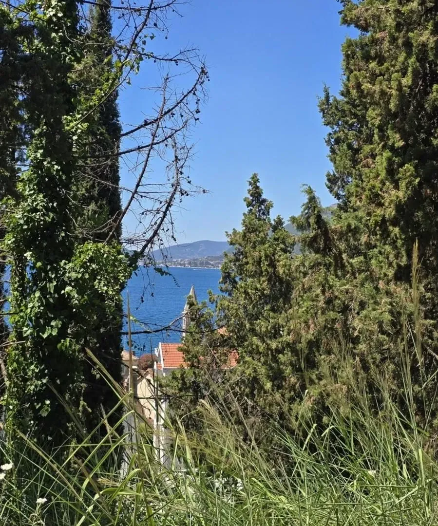 Prodaja, plac, 131200m², Donja Lastva, Tivat