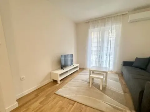 Izdavanje, jednosoban stan, 45m², Pobrežje, Podgorica - image 2