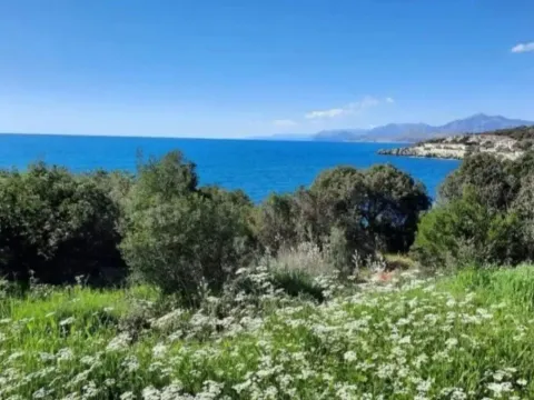 Land Lot for Sale, 4000m2, Hladna Uvala, Bar Land Lot for Sale, 4000m2, Hladna Uvala, Bar