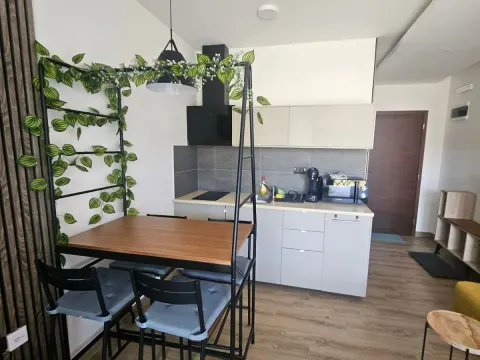 Prodaja, garsonjera, 25m², Kraljevi Čardaci, Kopaonik - image 8