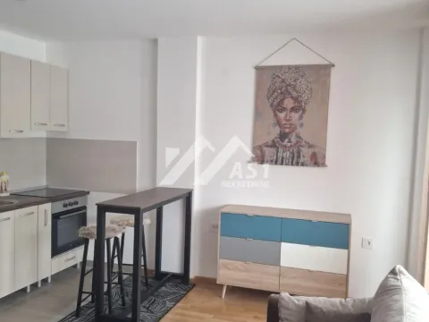 Izdavanje, stan, 23m², Telep, Novi Sad Sve Podlokacije - image 2