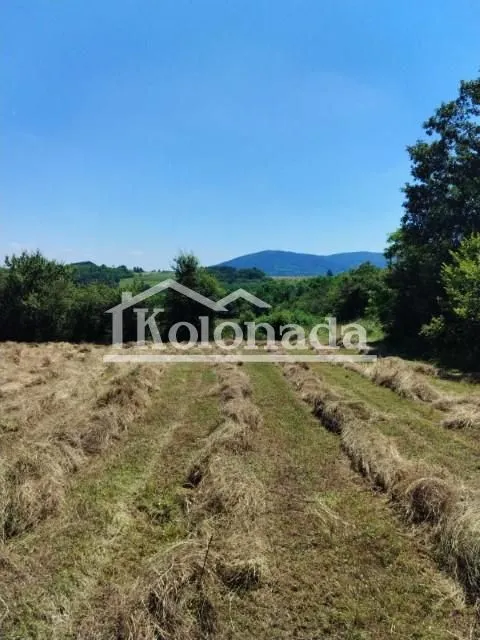 Prodaja, plac, 21800m², Babe, Sopot