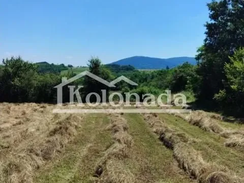 Sale, land lot, 21800m², Babe, Sopot - image 7