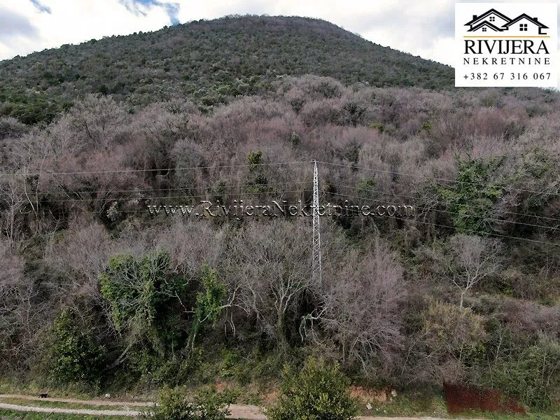 Prodaja, plac, 1646m², Bijela, Herceg Novi