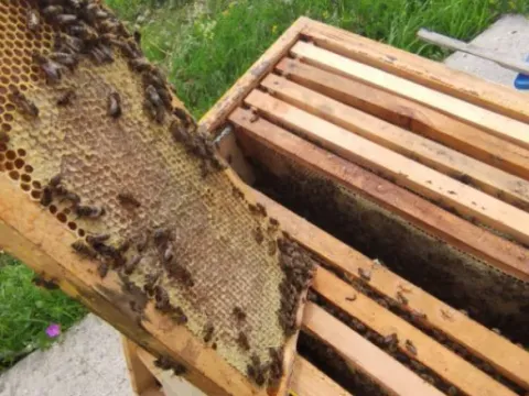 Sale, office space, 350m², Nikšić, Crna Gora - image 9