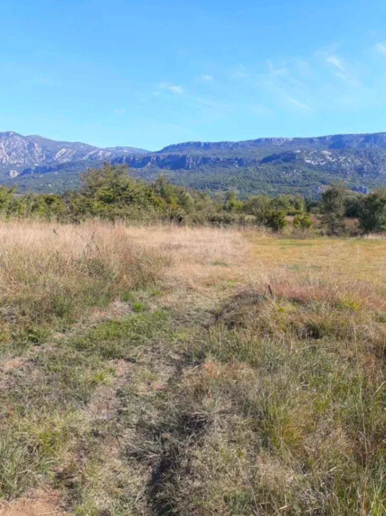Prodaja, plac, 4209m², Spuž, Danilovgrad