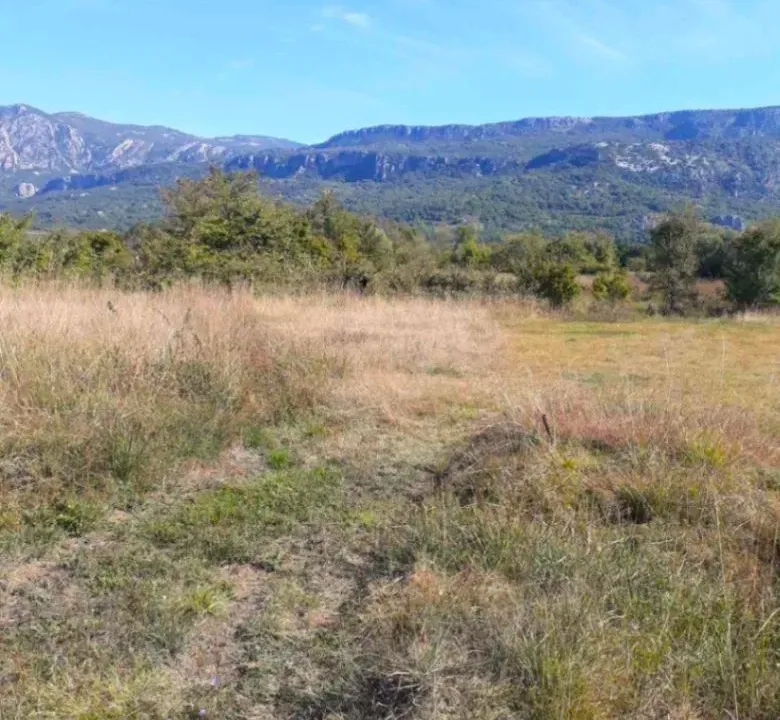 Prodaja, plac, 4209m², Spuž, Danilovgrad
