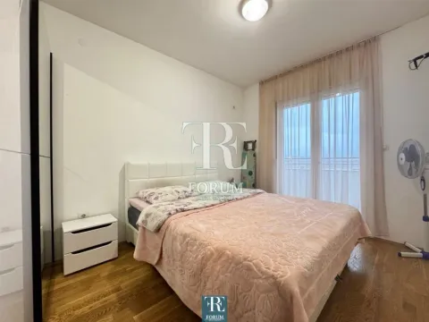 Izdavanje, jednosoban stan, 50m², Stari Aerodrom, Podgorica - image 7