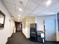 Rent, office space, 215m², Banovo Brdo, Beograd - image 12