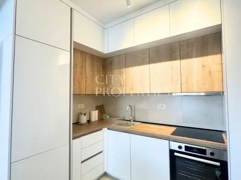 Rent, apartment, 45m², Zabjelo, Podgorica - image 4
