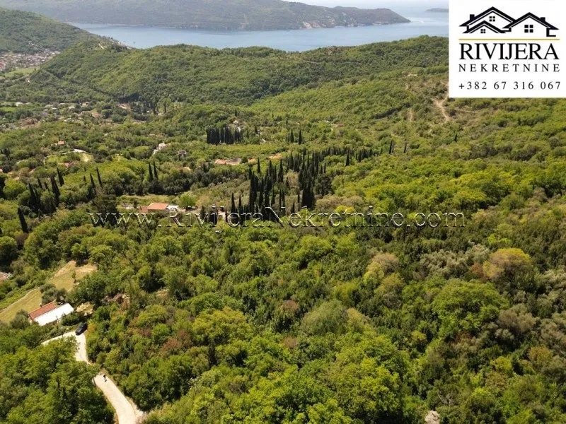 Prodaja, plac, 13123m², Sasovići, Herceg Novi