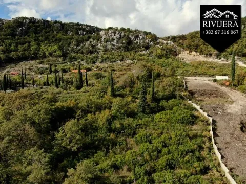 Prodaja, plac, 3849m², Trebesinj, Herceg Novi - image 5